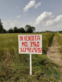 Terreno agricolo