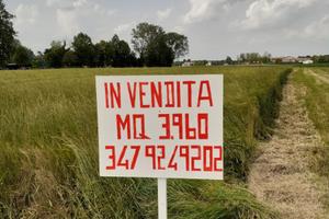 Terreno agricolo