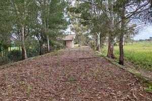 Terreno agricolo con piccola abitazione