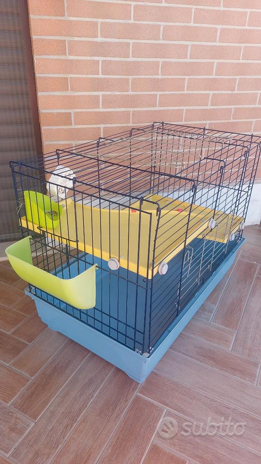 GABBIA PER RODITORI TOPI RATTI RAT 80 IMAC - Animali In vendita a