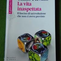 La vita inaspettata