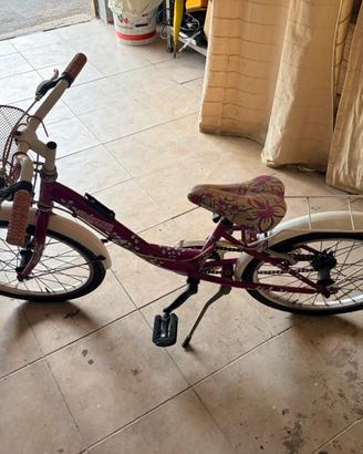 Bici da bambina da 20