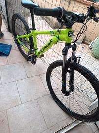 Bicicletta 