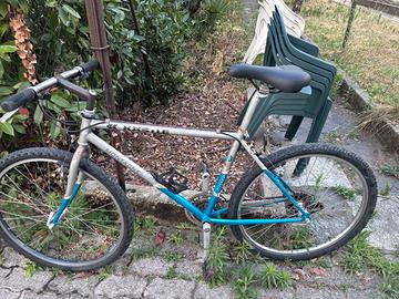 Bicicletta mountain bike