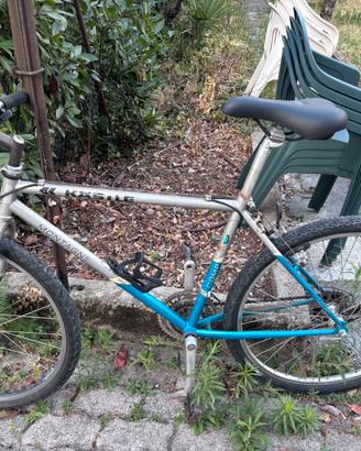 Bicicletta mountain bike