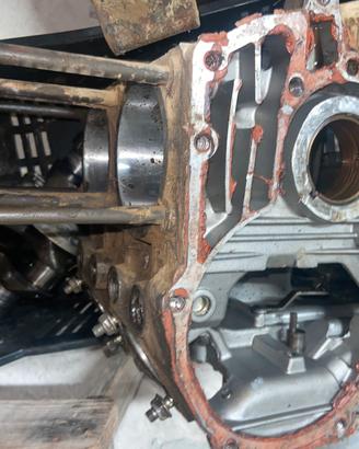 Brumital sottochioma ruggerini md151