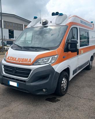 Ambulanza ORION - Fiat Ducato 2017 - E23-91069N