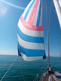 spinnaker e genoa per meteor o barche 6\8 mt