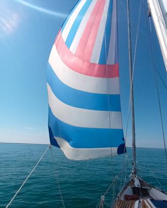 spinnaker e genoa per meteor o barche 6\8 mt