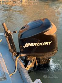 Mercury Optimax 90 / 115