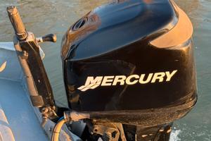 Mercury Optimax 90 / 115