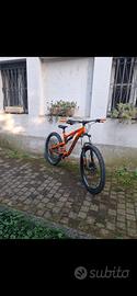 bici da enduro 
