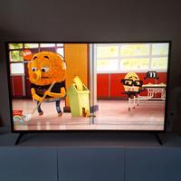 Tv Lg  55 pollici schermo rotto