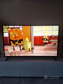 Tv Lg  55 pollici schermo rotto