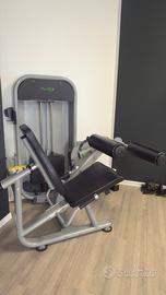 Leg extension leg curl