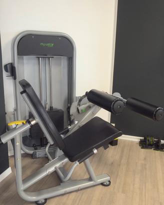 Leg extension leg curl