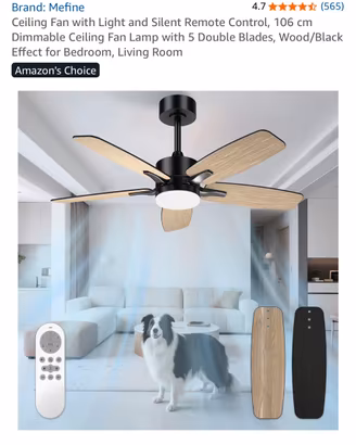 Due Ventilatore da soffitto con luce LED