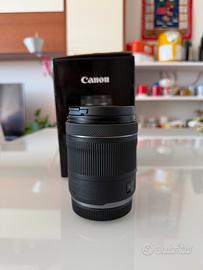Canon RF 24-105 f4-7.1