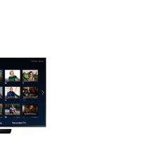Sony UE40H5500 Ricambi.