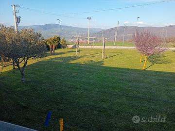 Villa singola immersa nel verde e relax