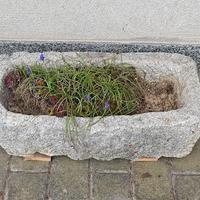 Vasca/lavandino in pietra 