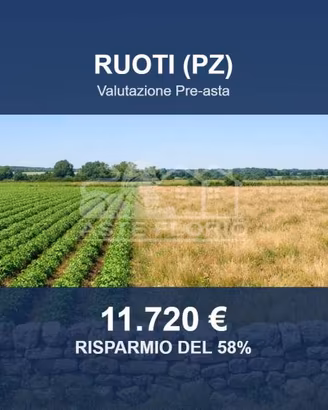 Immobile in asta di 2315 m² a Ruoti