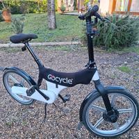 bicicletta assistita 
