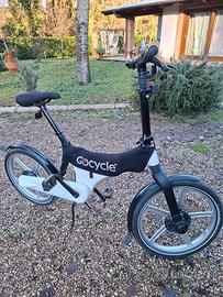 bicicletta assistita 