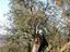 Immagine 20