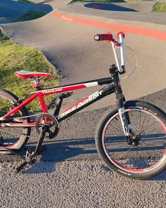 BMX race 21" Pro XL 170-180cm