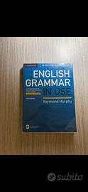 English grammar in use Raymond Murphy fifthEDITION