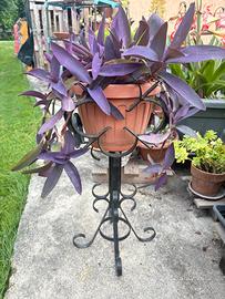 2 Portavasi rialzati