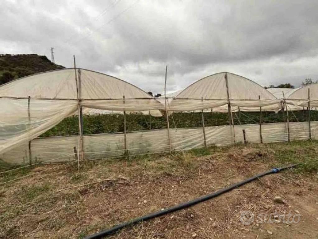 Immobile in asta di 120 m² a Petrizzi - Altro