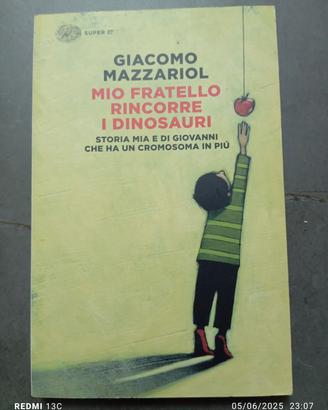 MIO FRATELLO RINCORRE I DINOSAURI 