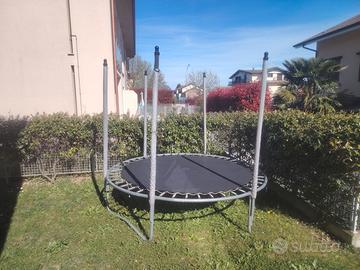 Salterino giardino