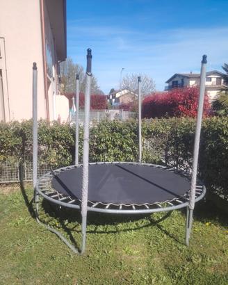 Salterino giardino