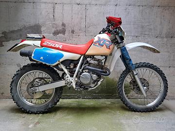 xr250r 