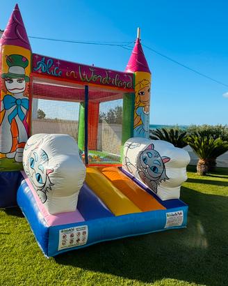 Gonfiabile Vasca Palline Professionale
