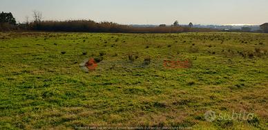 Terreno Agricolo- Pontecagnano