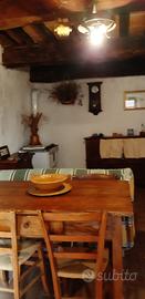 Immersa nella natura