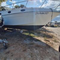 Fiart 35