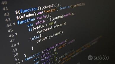 Programmatore Informatico