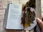 Immagine 4