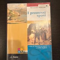 I promessi sposi 9788849415346