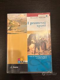 I promessi sposi 9788849415346