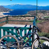  Trek top full 9.8 tg L full carbon