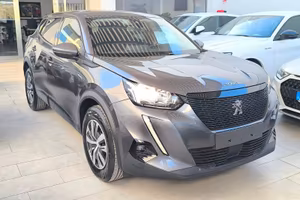 Peugeot 2008 BlueHDi 1.5 CC 110 CV S&S Active 2021