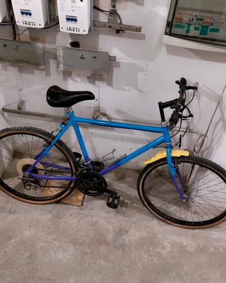 bicicletta 