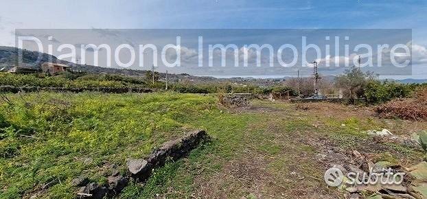 Terreno pianeggiante 6.500 mq con fabbricati - Vista 5