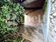 Immagine 18